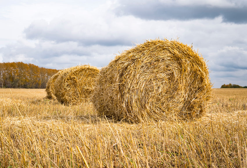Chiefbackdrop™ Western Fields Father's Day Backdrop Photography Background
