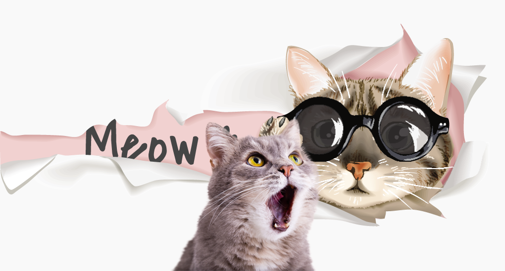 Cute Kitty Drawing Background Cute Backdrops For Baby Shower Photography Backdrops | Chiefbackdrop