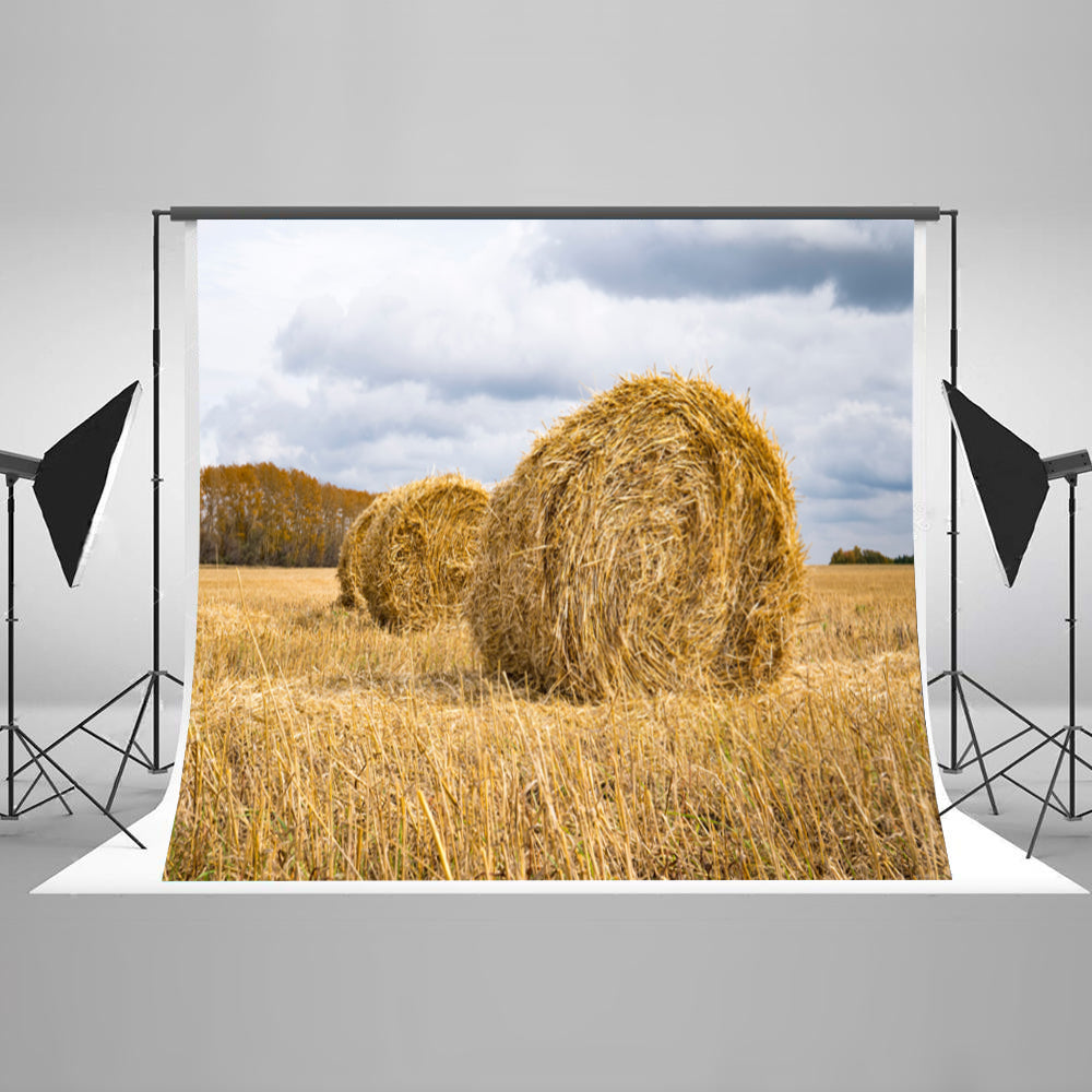 Chiefbackdrop™ Western Fields Father's Day Backdrop Photography Background