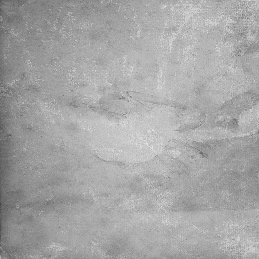 Chiefbackdrop™ Abstract Textured Painting Background Sliver Theme Portrait Backdrop