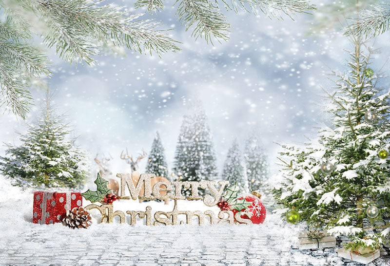 Chiefbackdrop™ Cartoon Snow Scenario Background Christmas Backdrops G-1200