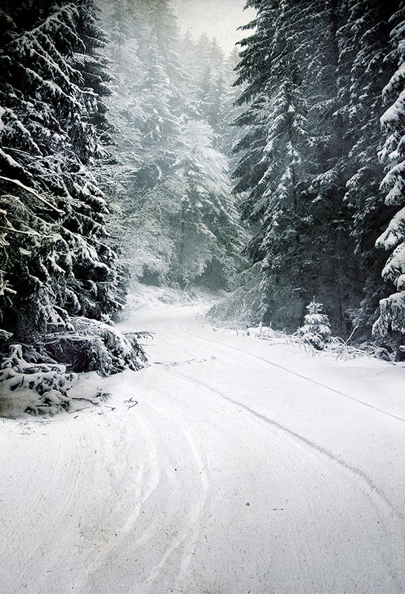 Chiefbackdrop™ Snow-covered Landscape in Forest Background Winter Scenic Backdrops