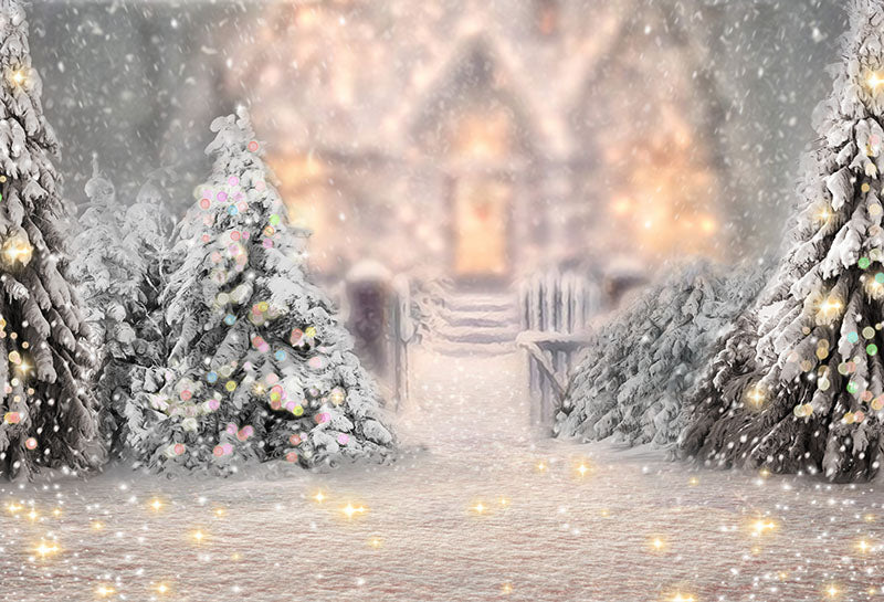 Chiefbackdrop™ Special Effects on Snow-Covered Landscape Background Photography Backdrops G-1194