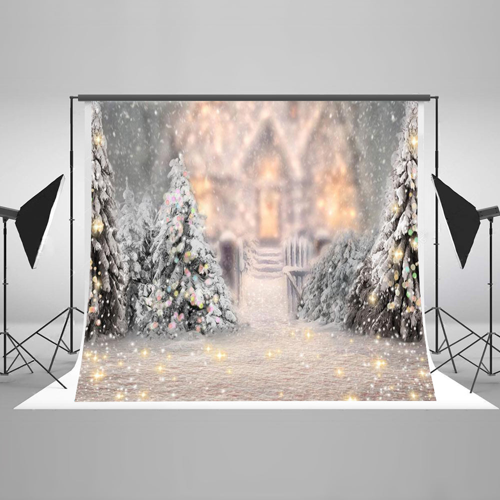 Chiefbackdrop™ Special Effects on Snow-Covered Landscape Background Photography Backdrops