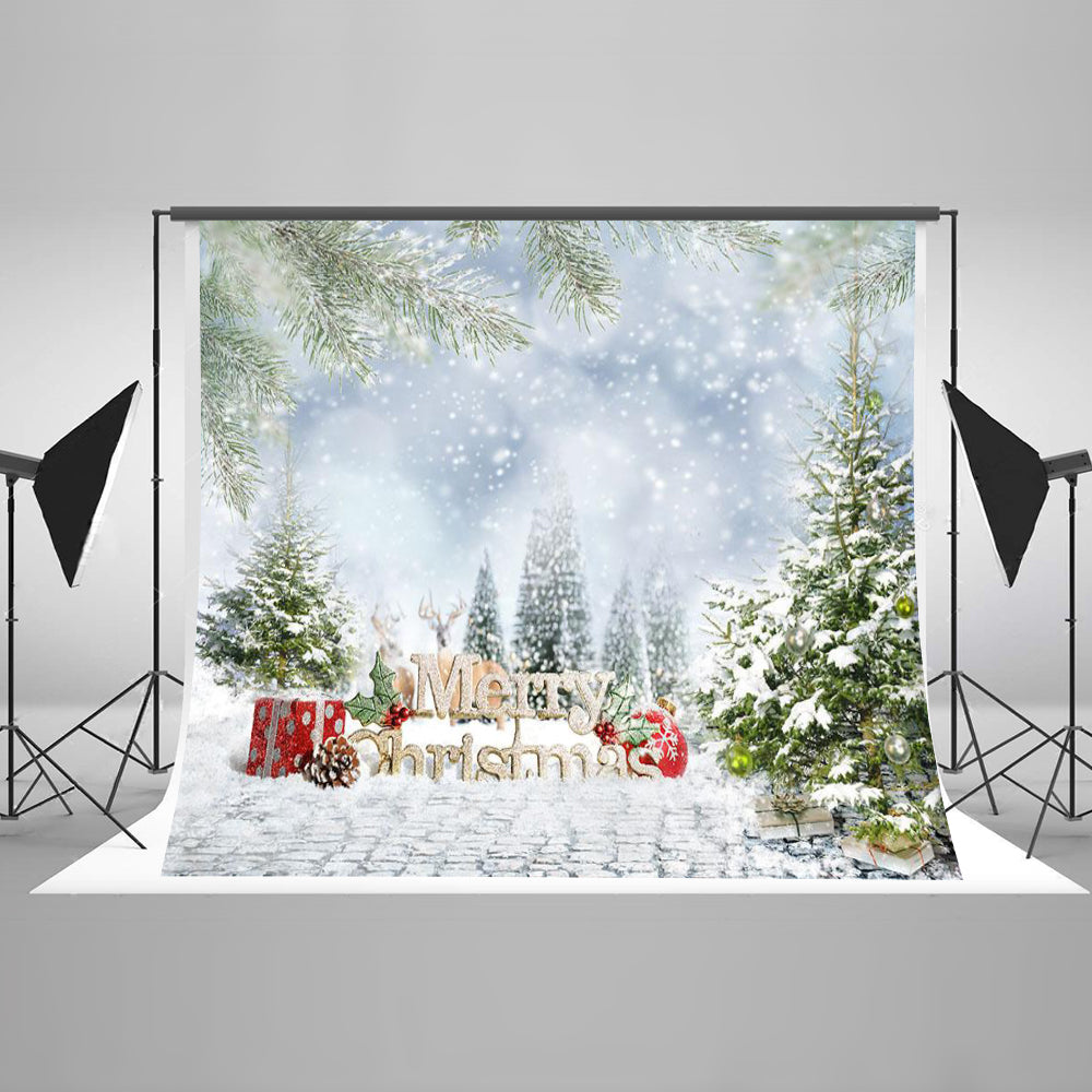 Chiefbackdrop™ Cartoon Snow Scenario Background Christmas Backdrops