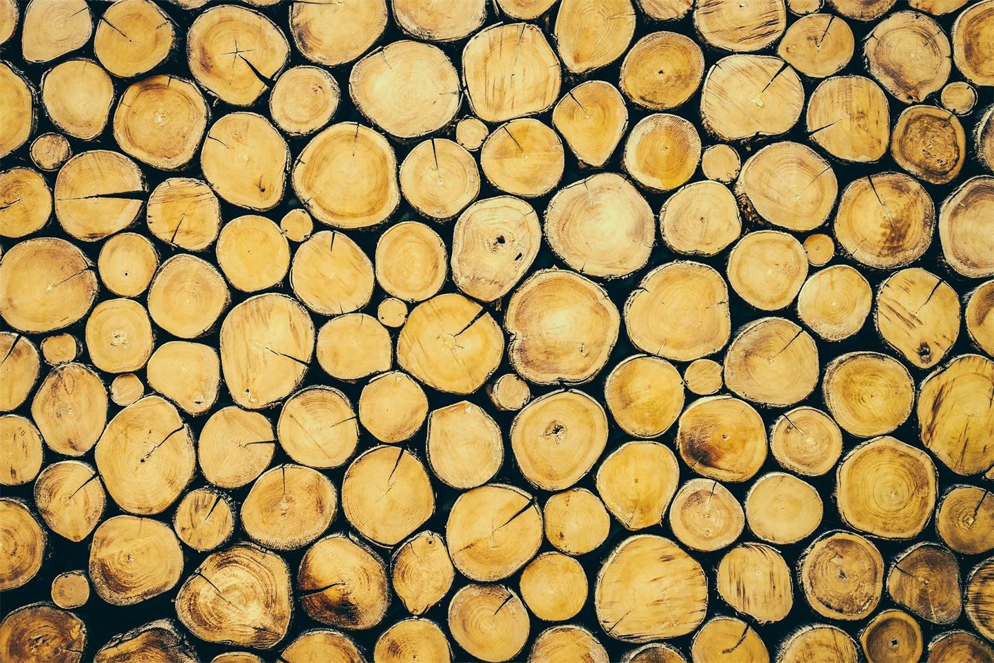 Stacked Wood Columns Background Photography Backdrops | Chiefbackdrop