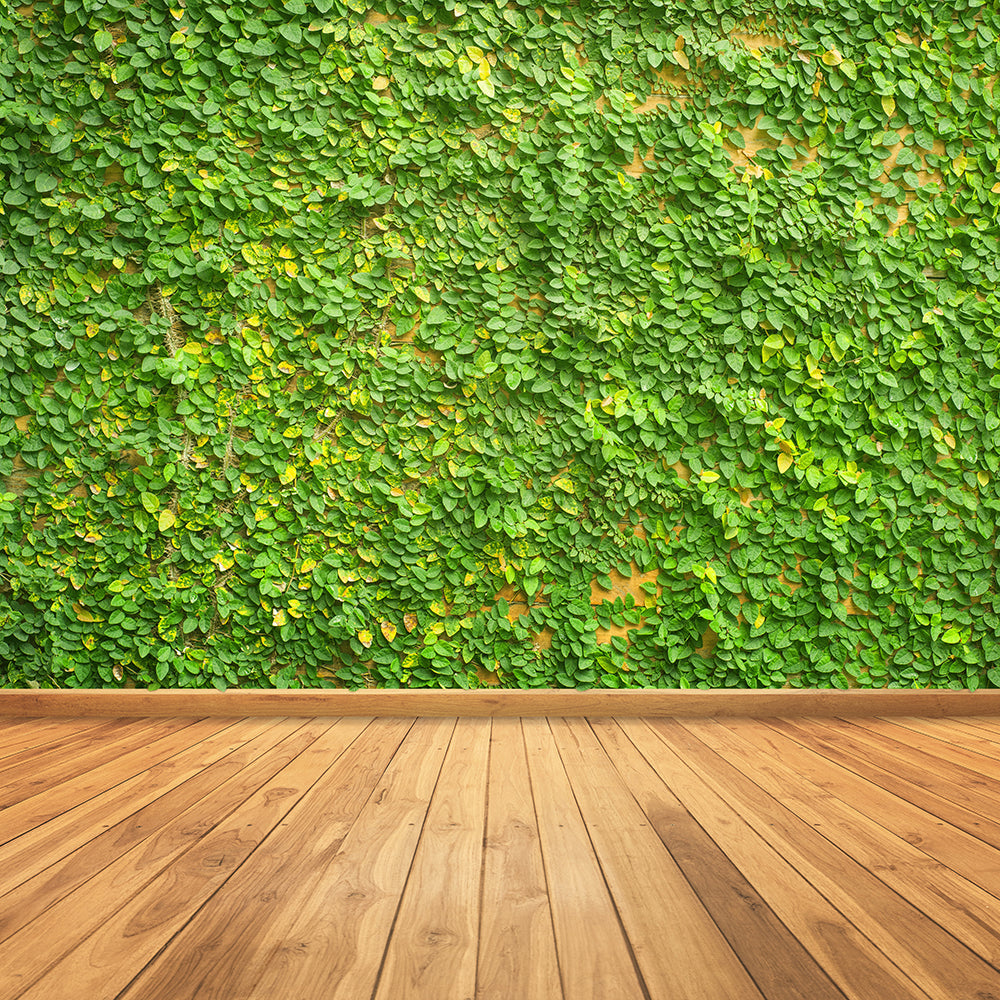 Chiefbackdrop™ Leaves Walls and Wooden Floors Background Abstract Backdrops