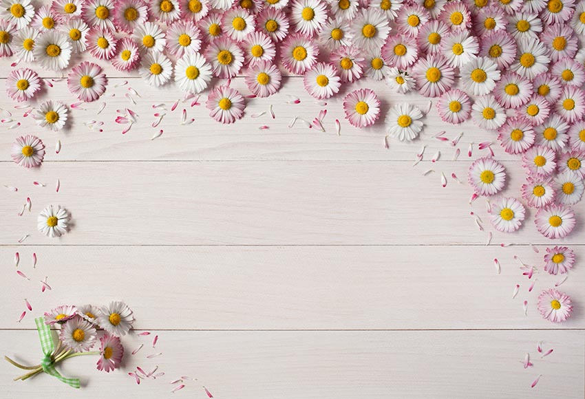 Chiefbackdrop™ Light Wood Background with Daisies