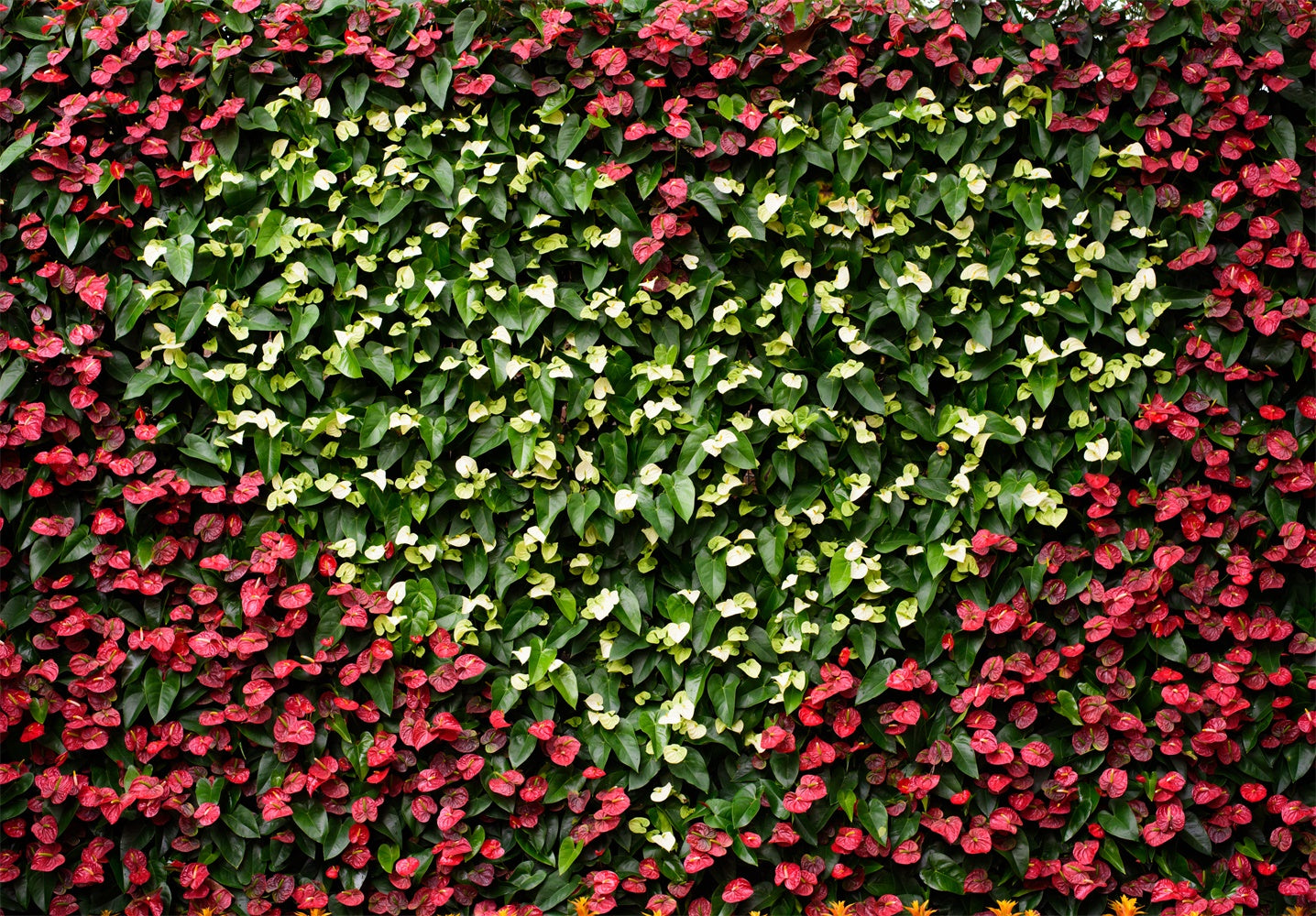 Chiefbackdrop™ Love Shape Flower Backdrops For Wedding