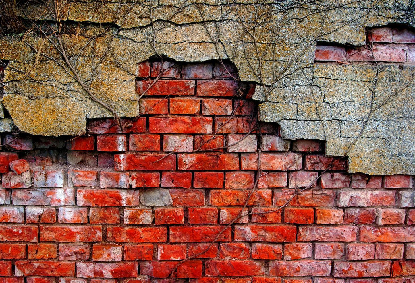 Bare Brick Wall Backdrop Photography Backdrops For Portrait Photography Ideas | Chiefbackdrop