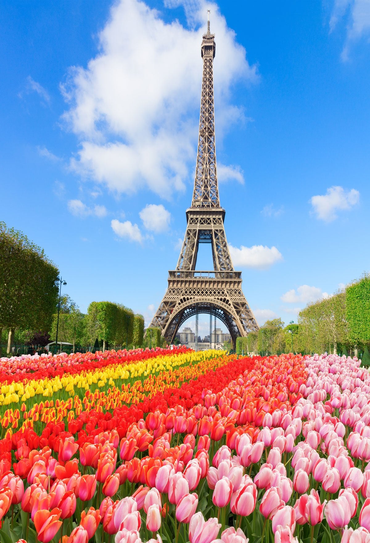 Eiffel Tower Paris Background Flower Backdrop Wall For Photography | Chiefbackdrop