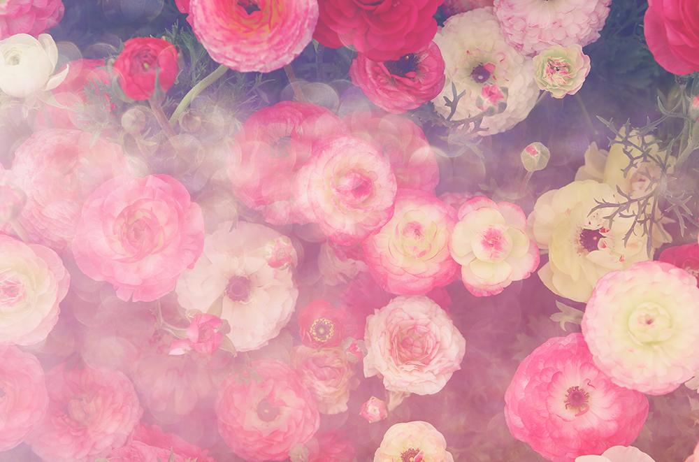 Flowers Fairy Garden Background Illusion magic Backgrops For Photography | Chiefbackdrop
