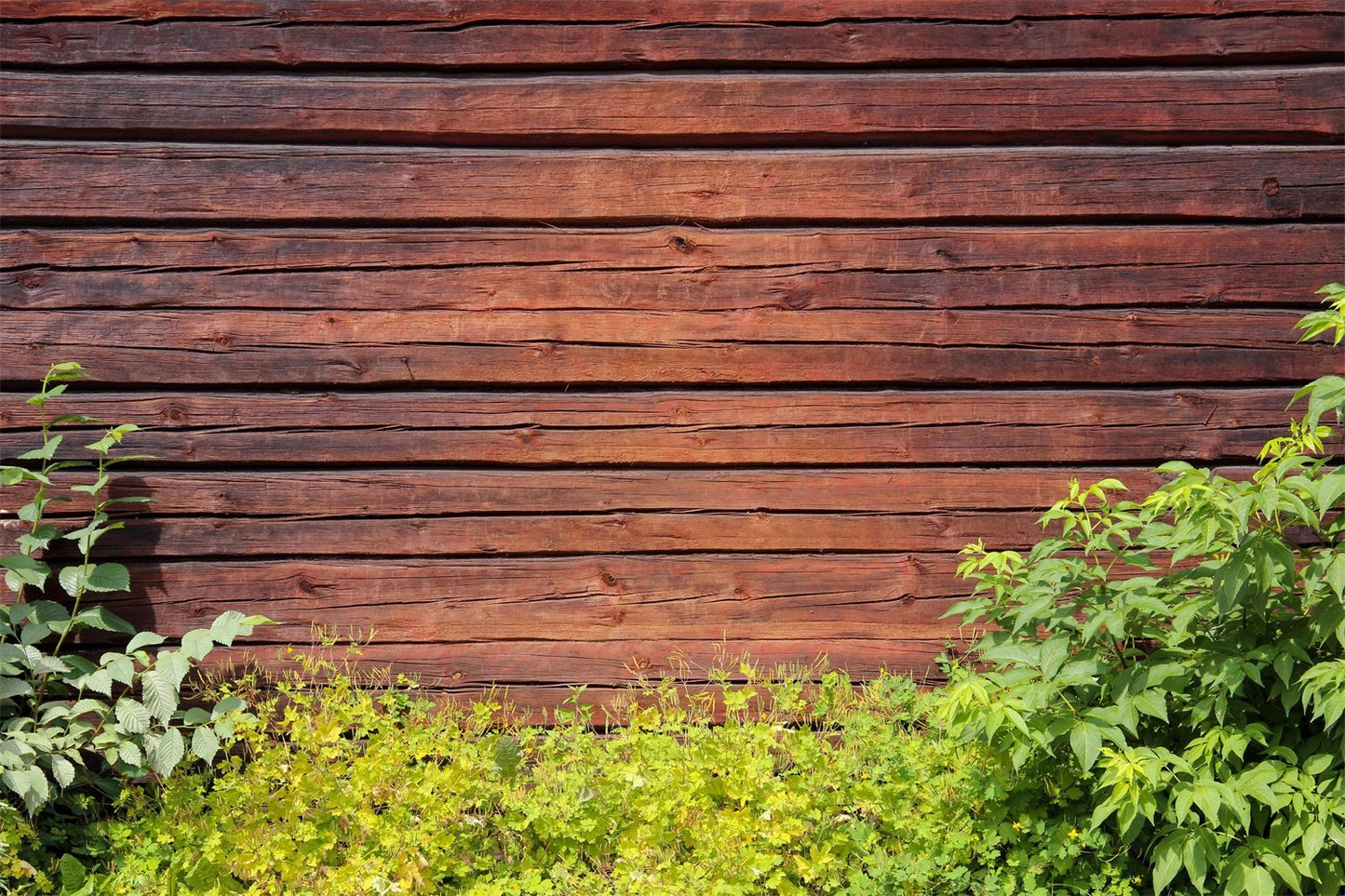 Chiefbackdrop™ Garden Backyard Backdrop Wood Background For Photography