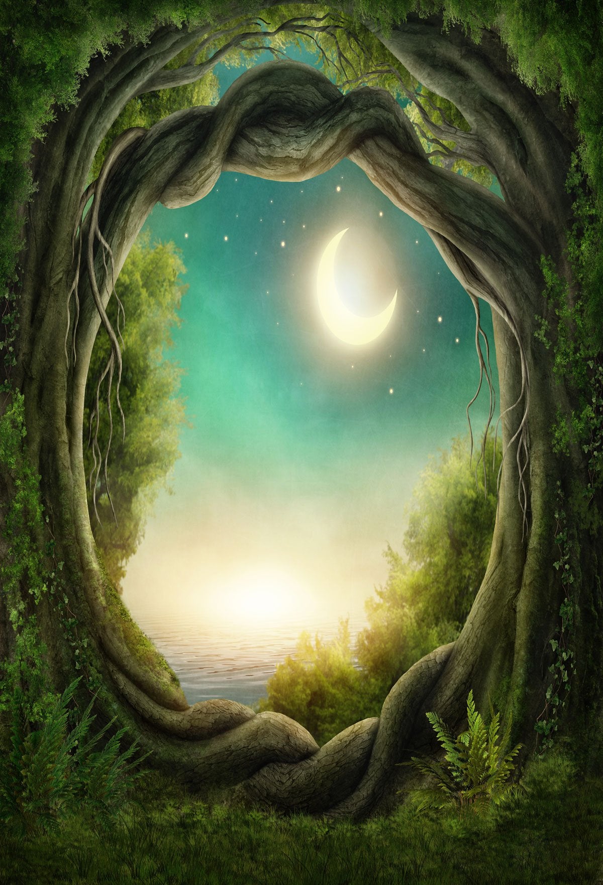 Night Sky Through Vine Circle Background Spring Backdrops Photography Landscape Backdrops | Chiefbackdrop