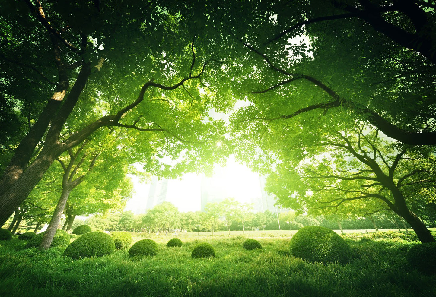Spring Is A Admirable Division With Green Background Spring Backdrops Portrait Photography Backdrops | Chiefbackdrop