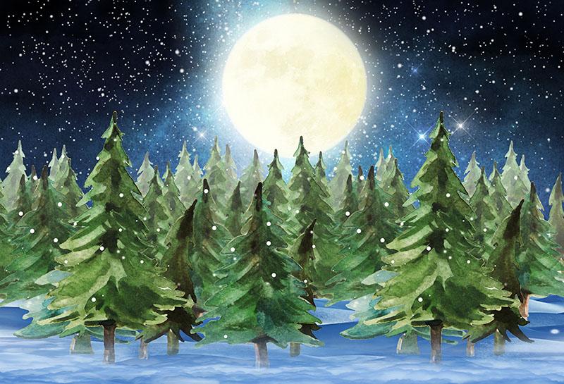 Chiefbackdrop™ Winter Forest With Snow And Christmas Tree For Photography