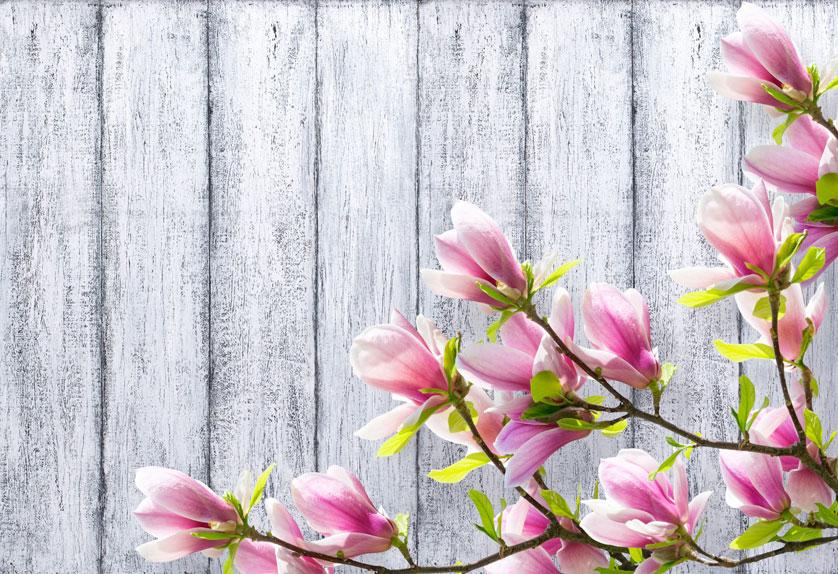 Wood Background Flower Backdrops For Portrait Photography | Chiefbackdrop