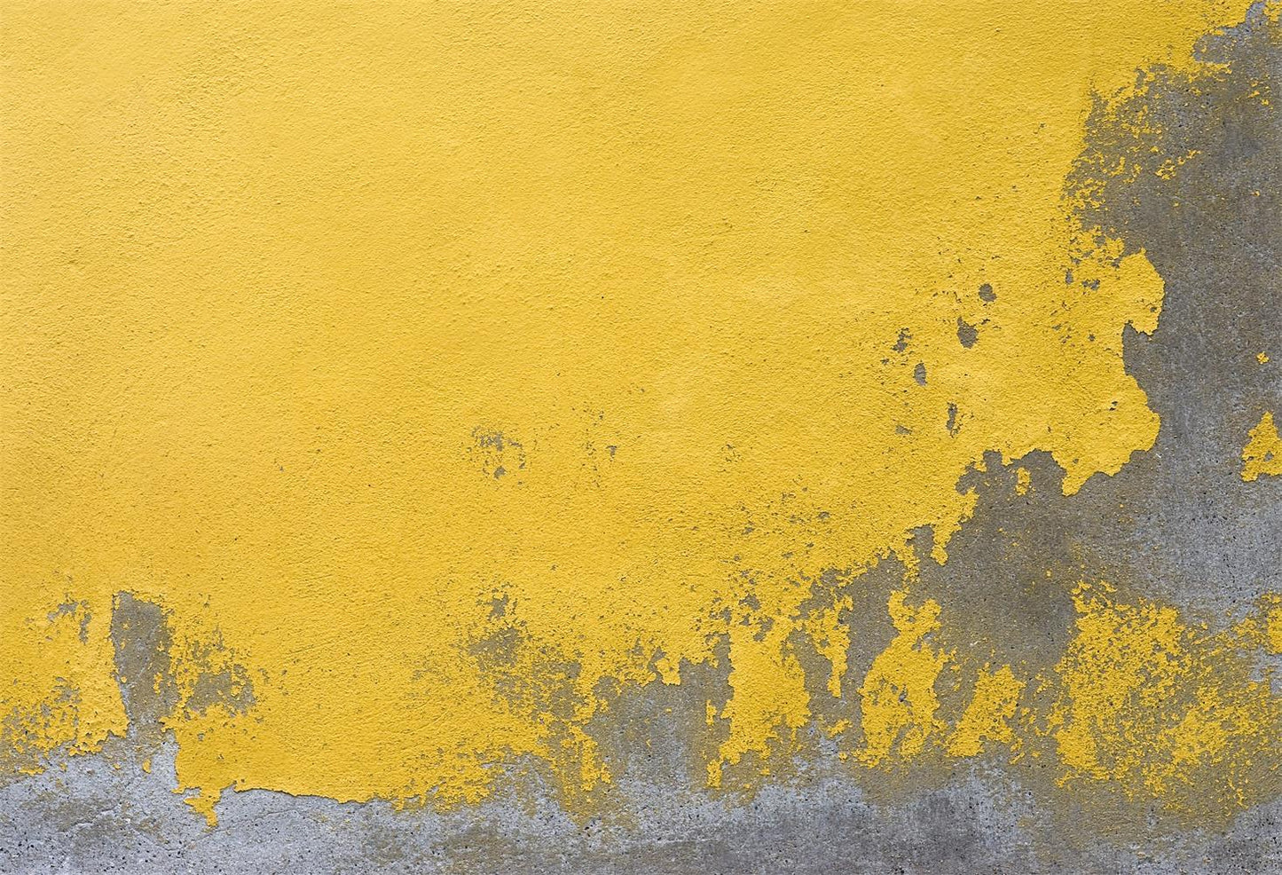 Yellow Painted Brickwall Backdrop For Portrait Photography Supplies Ourdoor | Chiefbackdrop