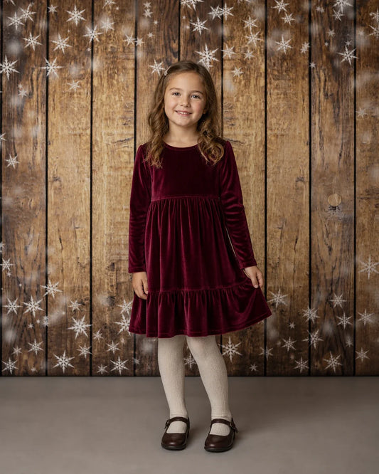 Styled child holiday portrait with Snowflake Border Rustic Wood photography backdrop