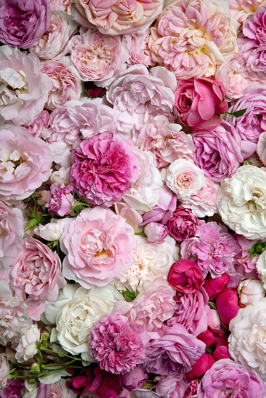 Chiefbackdrop™ Beautiful Flowers Backdground Wedding Backdrops