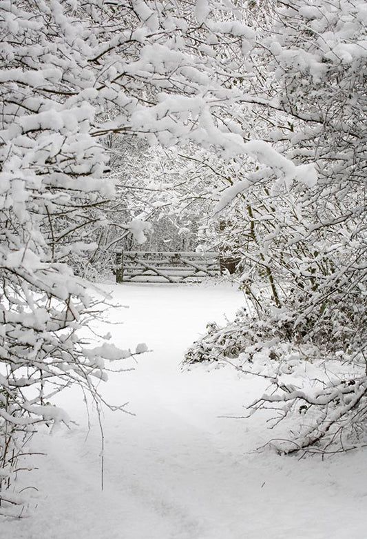 Chiefbackdrop™ Beautiful Snow-capped Forest Background Winter Backdrops for Portrait