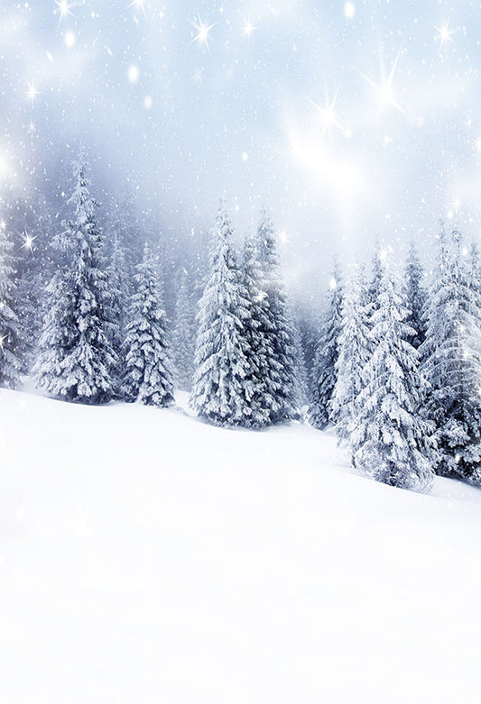 Creative Snow Scene Composite Background Winter Backdrops