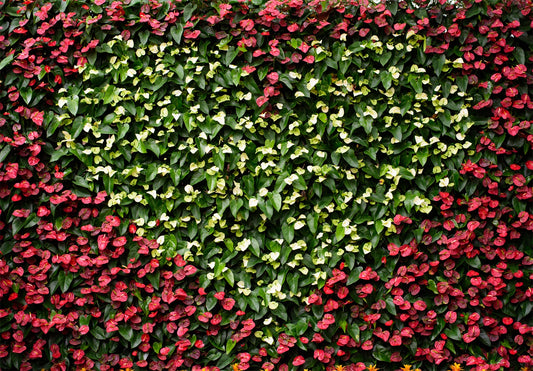 Chiefbackdrop™ Love Shape Flower Backdrops For Wedding