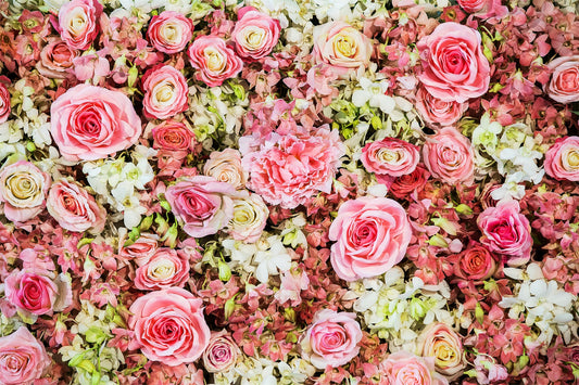 Chiefbackdrop™ White And Red Blast Rose Flower Backdrops Wedding Photo Shoot