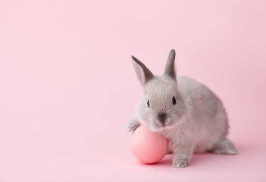 Chiefbackdrop™ A Little Bunny Background Photogarphy Backdrops For Baby Shower 