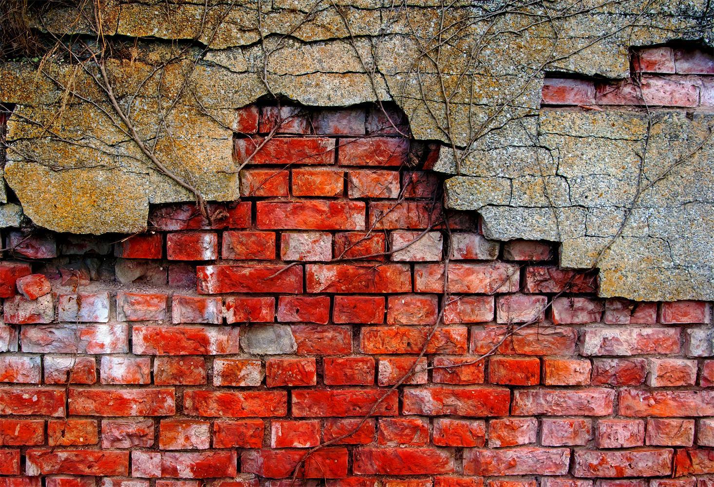 Bare Brick Wall Backdrop Photography Backdrops For Portrait Photography Ideas | Chiefbackdrop