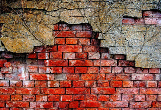 Bare Brick Wall Backdrop Photography Backdrops For Portrait Photography Ideas | Chiefbackdrop