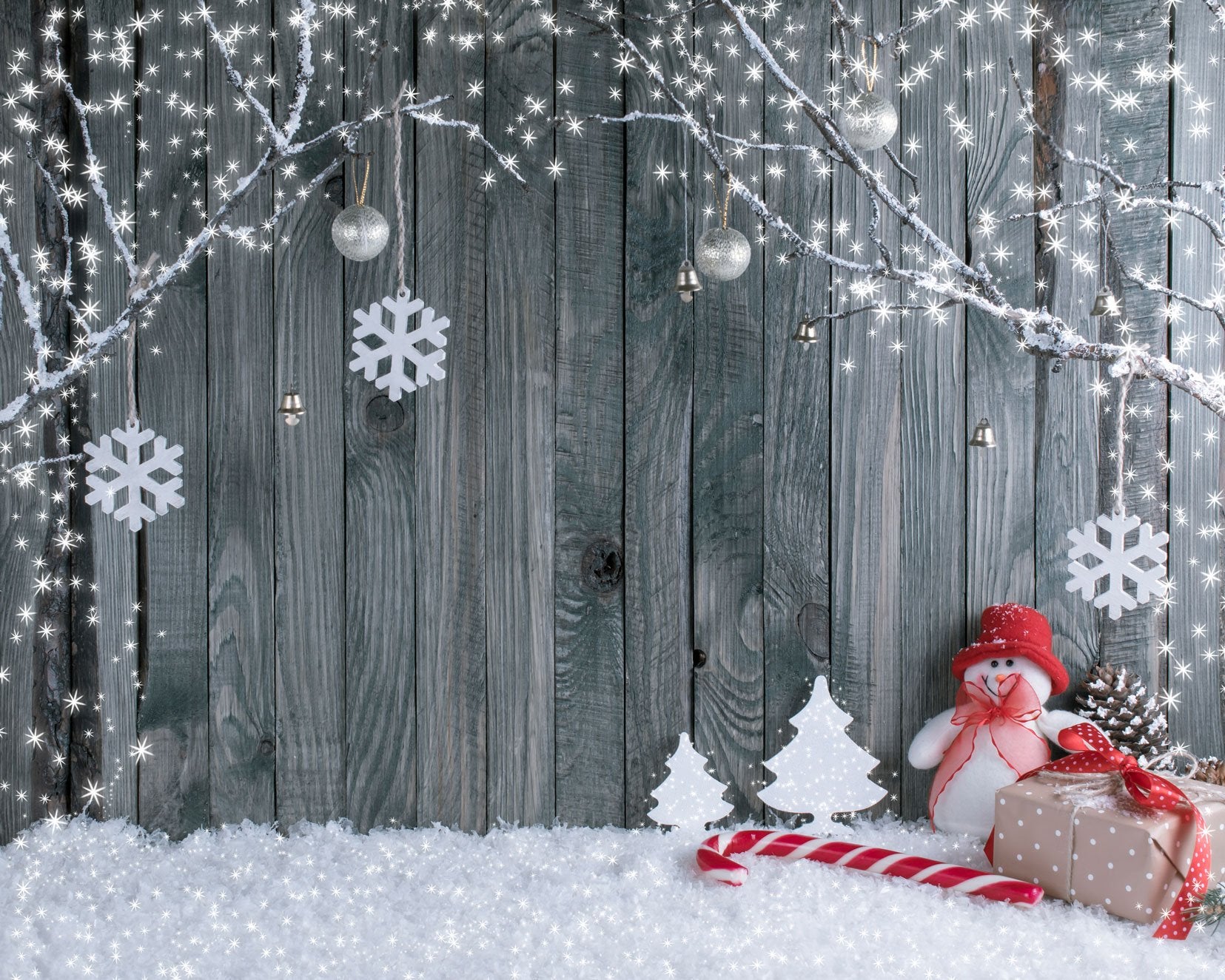 Chiefbackdrop™ Christmas Outdoor Decorations For Photography 