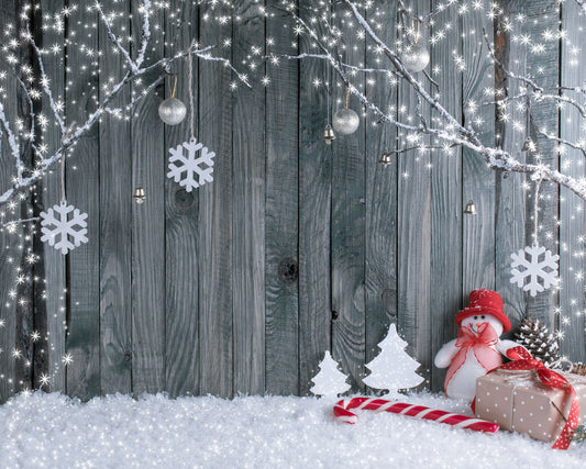 Chiefbackdrop™ Christmas Outdoor Decorations For Photography 